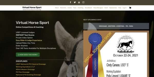 virtualhorsesport virtualhorsesport